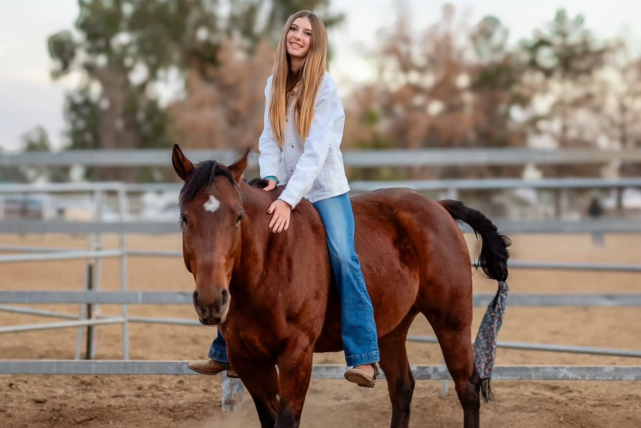 Piper on Fancy Fancys equine fly spray